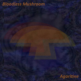 Album cover of Agaritine