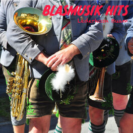 Album cover of Blasmusik Hits