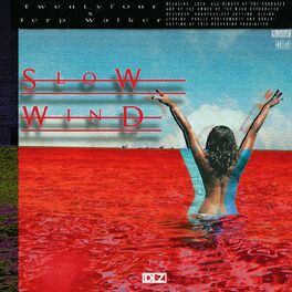 Album cover of Slow Wind
