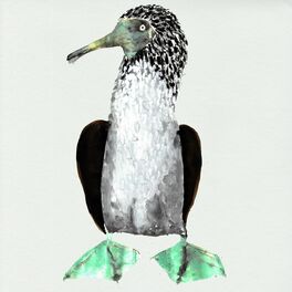 Album cover of Galápagos (Original Series Soundtrack)