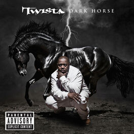 Album cover of The Dark Horse