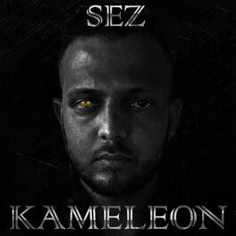 Album cover of Kameleon