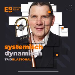 Album cover of Systemisch Dynamisch