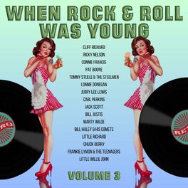 Album cover of When Rock and Roll Was Young, Vol. 3