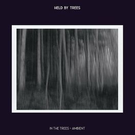 Album cover of In the Trees (Ambient)