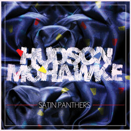Album cover of Satin Panthers