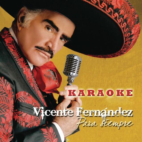 Vicente Fernández - El Chofer (Karaoke Version): Canción con letra | Deezer