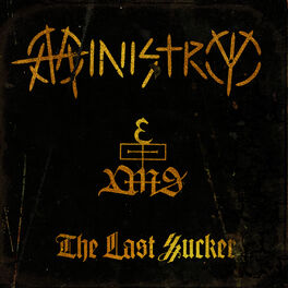 Album cover of The Last Sucker