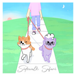 Album cover of sidewalk safari
