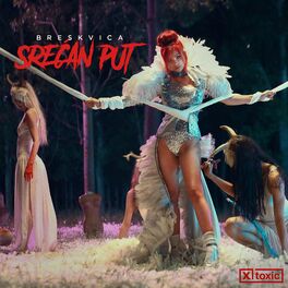 Album cover of Srecan Put