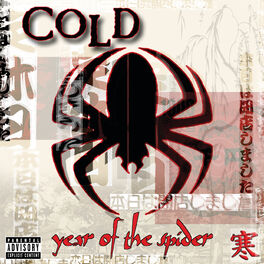 Album cover of Year Of The Spider