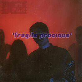 Album cover of Fragile Precious