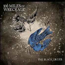 Album cover of 100 Miles of Wreckage