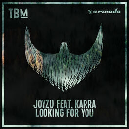 Album cover of Looking For You