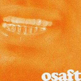 Album cover of osaft (feat. Bausa)