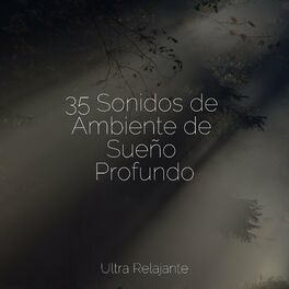 Album cover of 35 Sonidos de Ambiente de Sueño Profundo