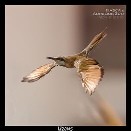 Album cover of Movimiento
