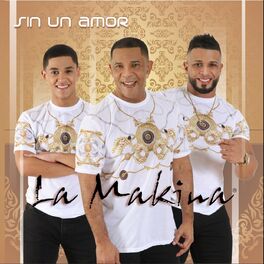 Album cover of Sin un amor