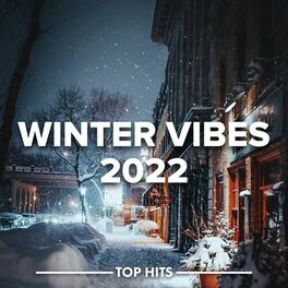 Album cover of Winter Vibes 2022