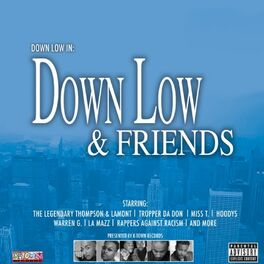 Album cover of Down Low & Friends