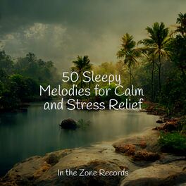 Album cover of 50 Sleepy Melodies for Calm and Stress Relief