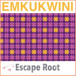Album cover of Emkukwini
