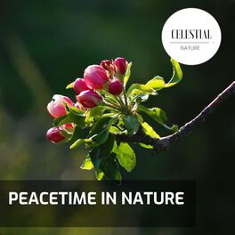 Album cover of Peacetime in Nature