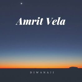 Album cover of Amrit Vela