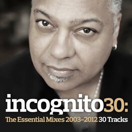 Album cover of Incognito 30: The Essential Mixes 2003-2012