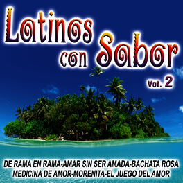 Album cover of Latinos Con Sabor Vol.2