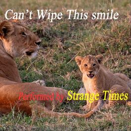 Album cover of Can't Wipe This Smile