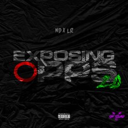 Album cover of Exposing Opps 2.0