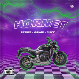 Album cover of Hornet