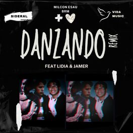 Album cover of Danzando (Remix)