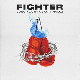 Album cover of Fighter