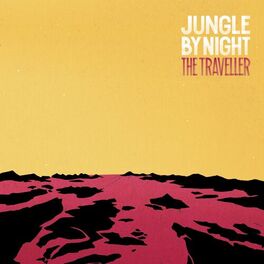 Album cover of The Traveller