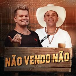 Album cover of Não Vendo Não
