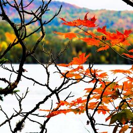 Album cover of Autumn Fantasy Music for Medieval Lute, Celtic Violin, Folk Flute & Guitar