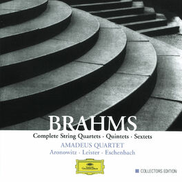 Album cover of Brahms: Complete String Quartets, Quintets & Sextets
