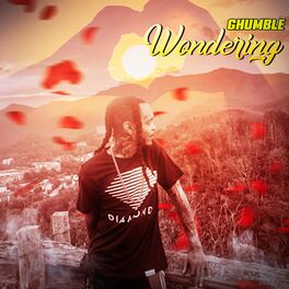 Album cover of Wondering