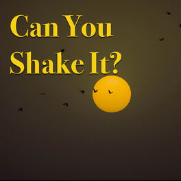 Album cover of Can You Shake It?