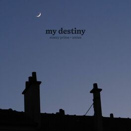 Album cover of my destiny