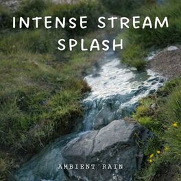 Album cover of Ambient Rain: Intense Stream Splash