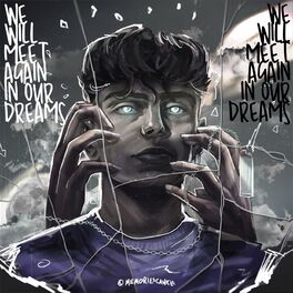 Album cover of We Will Meet Again In Our Dreams