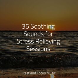 Album cover of 35 Soothing Sounds for Stress Relieving Sessions
