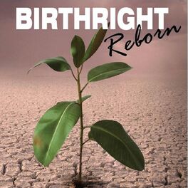 Album cover of Birthright Reborn