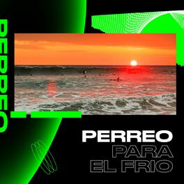 Album cover of Perreo para el frío