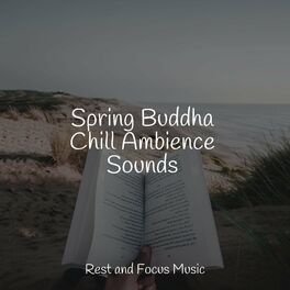 Album cover of Spring Buddha Chill Ambience Sounds