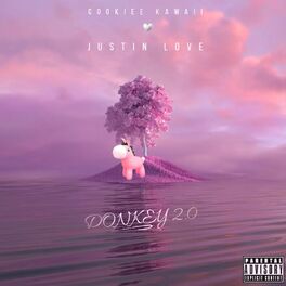 Album cover of Donkey 2.0
