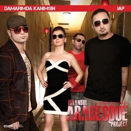 Album cover of Damarımda Kanımsın (By Barbaros Akbulut)